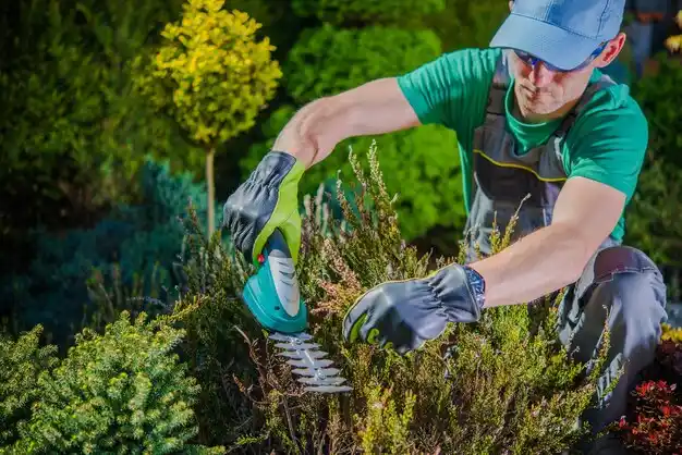 landscaping services Jefferson City